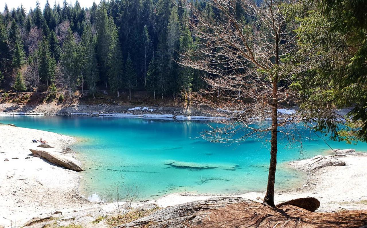 Ferienwohnung Stenna Selva An Toplage Флимс Экстерьер фото